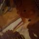 Minni :)
