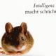 Ohne weiteren Kommentar!
