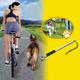 Fahrradstange für Hunde, also zum seitlichen Führen?