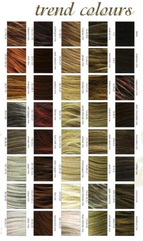 ... palette mit allen nuancen drauf (haarfarbe, blondieren, haare  width=