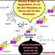 calcium und magnesium zusammen einnehmen?