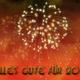 Meerschweinchen und Silvester 