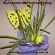 Schmetterling als Blumenstecker von www.basteln-rund-ums-jahr.de
