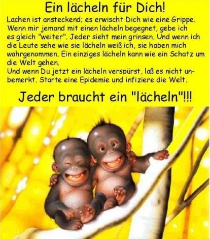 Schöne Sprüche Kopf Hoch wahre sprüche über das leben