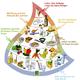 was ist alles gesund?