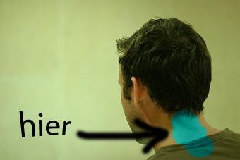 Die Überprüfung der Erkrankungen schejnogo der Abteilung auf wer