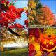 Wie behalte ich die Sonne auch im Herbst im Herzen?