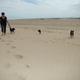 Hund bleibt nicht alleine HILFEEE!!!