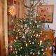 Weihnachtsbaum 2010