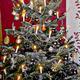 Tannenbaum1