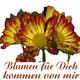 Kostenlose Einladungskarten zum ausdrucken!