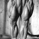 Wieso haben Bodybuilder immer so dünne Beine?