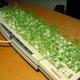 recycling von tastaturen