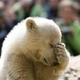 Was bedeutet das wort facepalm?