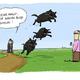 freundliche hunde