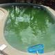 Grünes Wasser im Swimmingpool?