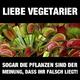 Dumme Sprüche - weil vegetarier!?!
