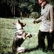 Wie bringe ich meinem Hund "Schäm Dich" bei ???