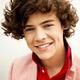 harry styles one direction *-* so musst dus haben xD
