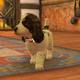 Nintendogs+Cats Charakterart!