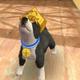 Nintendogs+cats - Geheime Tricks