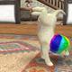 Nintendogs+cats - Geheime Tricks