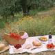 Picknick