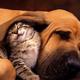HILFE Freundschaft oder Liebe....................???????????????????..