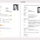 Bewerbung als Aupair