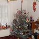 Euer weihnachtsbaum,wie schmückt ihr ihn?
