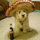 Fiesta Mexicana