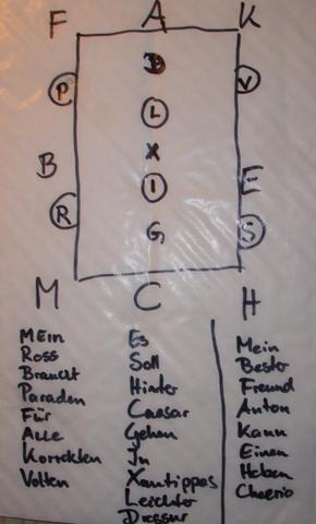 Huitrcrio Dressurviereck Buchstaben Set - 4 Oder 8 Markierungskegel Für Reittraining