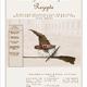 ebook für schwarze magie und rituale kostenlos downloaden