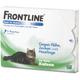 Fronline Katze