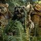 Star wars teil 6!!!
