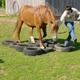 Neue Sachen beim Reiten ausprobieren! Ideen?