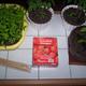 Tomaten vereinzeln