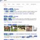 Google Fehler <em>
