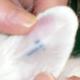 Teuto-Zwerg: Vorurteile ?