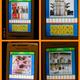 vier bilder ein wort welches ist es ?