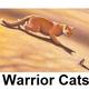 --Warrior Cats--