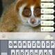 Whats app / Nachrichten