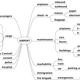 Mindmap über den Flughafen