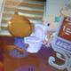 Animal Crossing Luxusklo