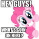 My Little Pony - Es wird eine bestimmte Figur/ein bestimmtes Pferd gesucht!