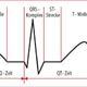 EKG? weiß jmd antwort