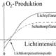 Fotosynthese:Je höher die Beleuchtungsstärke, desto höher ist die Fotosyntheserate bzw. O2-Aufnahme?