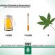 Jeden Tag einen Joint oder 1,5 l Bier, WAS IST SCHLIMMER???