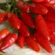 Chilischoten