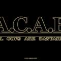ACAB - "Bastards" passt nicht zum linken, "fortschrittlichen" Denken?
